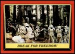 #108 Break for Freedom!  