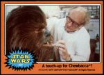 #307 A touch-up for Chewbacca  