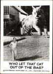 #105 Who Let That Cat Out of the Bag? 