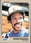 #280 Andre Dawson 