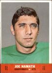 Joe Namath 