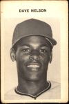 Dave Nelson 