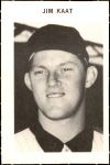 Jim Kaat 