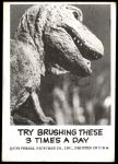#96 Try Brushing These 3 Times a Day 