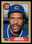 #27 Andre Dawson 