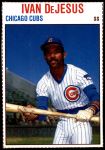 #88 Ivan DeJesus 
