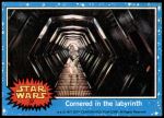 #37 Cornered in the labyrinth  