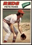 #240 Pete Rose 