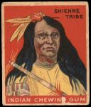 #1 Shienne Tribe  