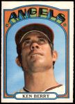 #379 Ken Berry 