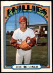 #482 Joe Hoerner 