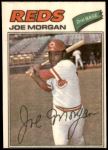 #31 Joe Morgan 