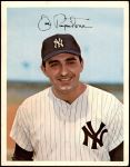 Joe Pepitone 