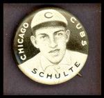 Wildfire Schulte  