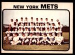 #389 Mets Team  