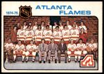 #85 Flames Team Checklist  