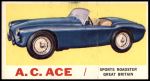 #8 A.C. Ace  