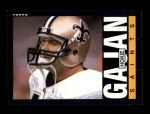 #104 Hokie Gajan 
