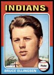 #288 Bruce Ellingsen 