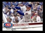 #500 Anthony Rizzo 