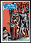 #16 Penned by the Penguin  