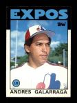 #40 Andres Galarraga 