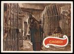 #21 Caged  