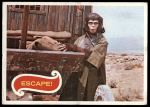 #37 Escape  
