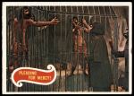 #20 Pleading For Mercy  