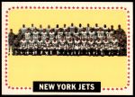 #131 New York Jets Team  