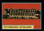 #138 Steelers Team  