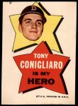 #30 Is My Hero Tony Conigliaro 