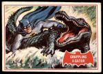 #2 Grappling a Gator  