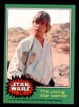 #239 The young star warrior  