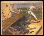 #9 The Leopard'S Last Leap  