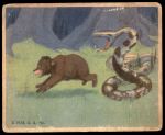 #19 The Prodigal Bear  