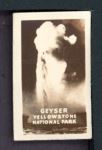 #7 Geyser& Yellowstone 