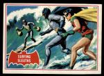 #20 Surfing Sleuths  