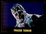 #34 Frozen Terror  