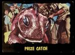 #21 Prize Catch  