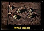 #23 Human Insects   