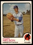 1973 Topps #251 Roger Nelson<br />B73T 11 3274<br /><a class='button AddToCart' data-ajax='true' data-ajax-mode='replace' data-ajax-update='#cart-info' href='/AddToCart?itemId=6637078&quantity=1&type=0'>Add To Cart</a>