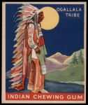 #136 Chief of the Ogallala Tribe   