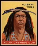 #124 Warrior of the Ojibway Tribe   