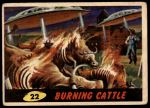 #22 Burning Cattle  