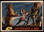#36 Destroying Dog   
