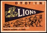 #139 Lions Pennant  