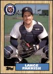 #791 Lance Parrish 