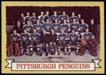 #104 Penguins Team  