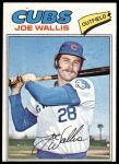 #279 Joe Wallis 